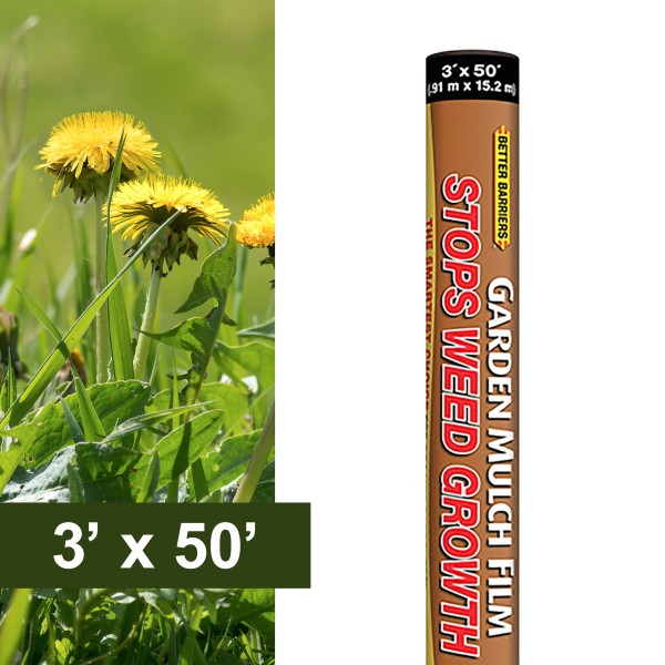 Resinet-Quest Weed Control Biodegradable Landscaping Mulch Film Roll | 3' x 50' (Landscaping/Hardscaping)