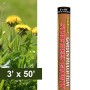 Resinet-Quest Weed Control Biodegradable Landscaping Mulch Film Roll | 3' x 50'