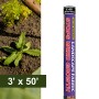 Resinet-Quest Weed Barrier Landscaping Fabric | 3' x 50'