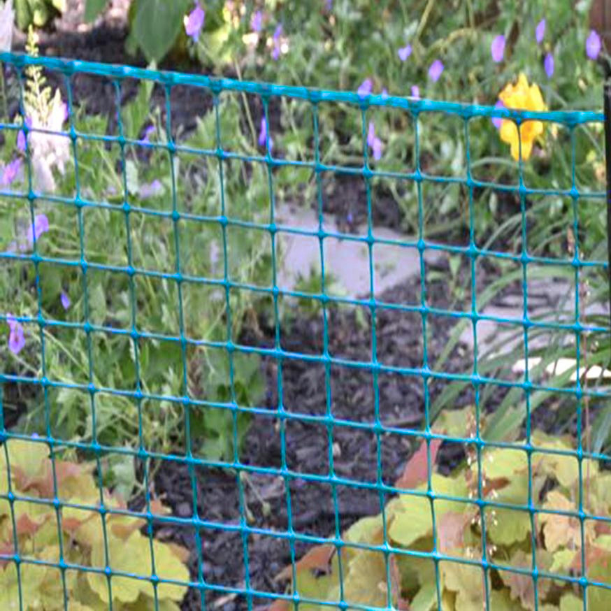 A blue barrier fence in front of a garden