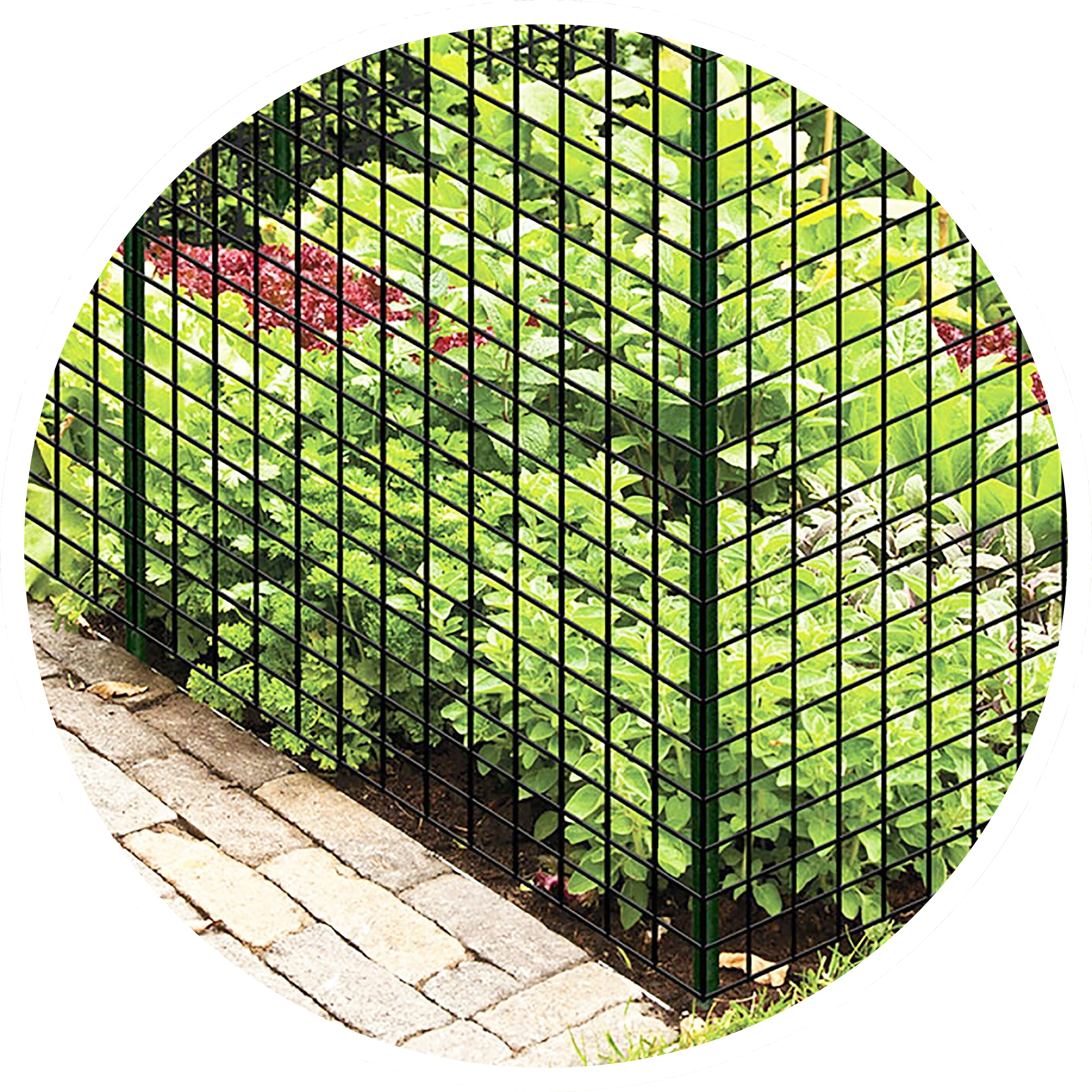 home and garden banner 1