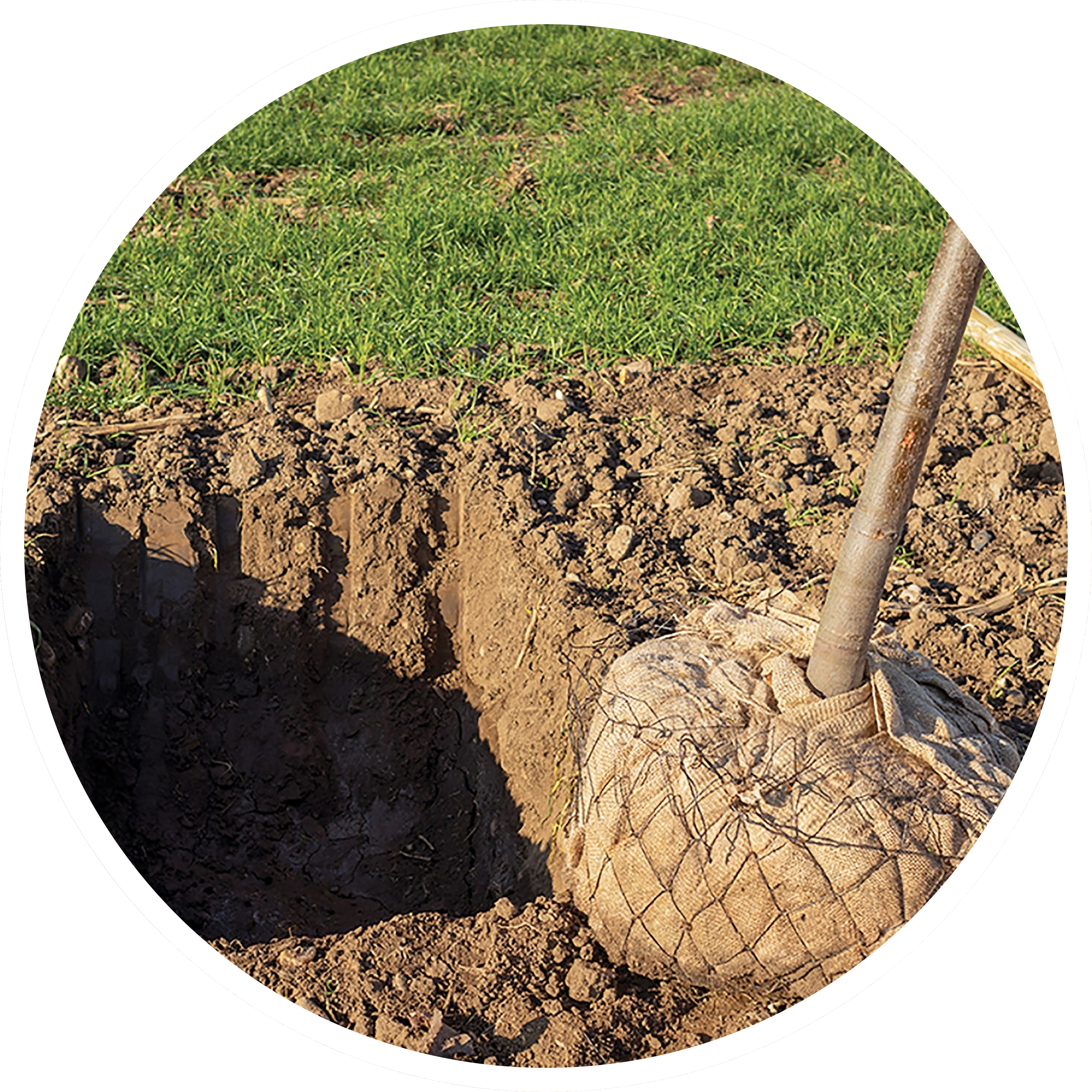 home and garden banner 3